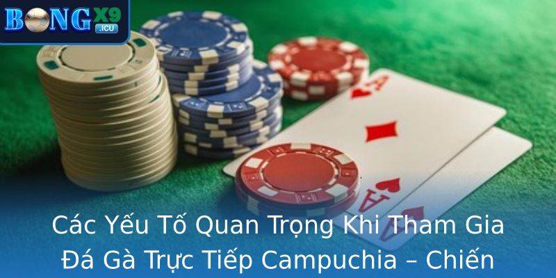 Các Yếu Tố Quan Trọng Khi Tham Gia Đá Gà Trực Tiếp Campuchia – Chiến Thuật, Chọn Gà Và Quản Lý Rủi Ro