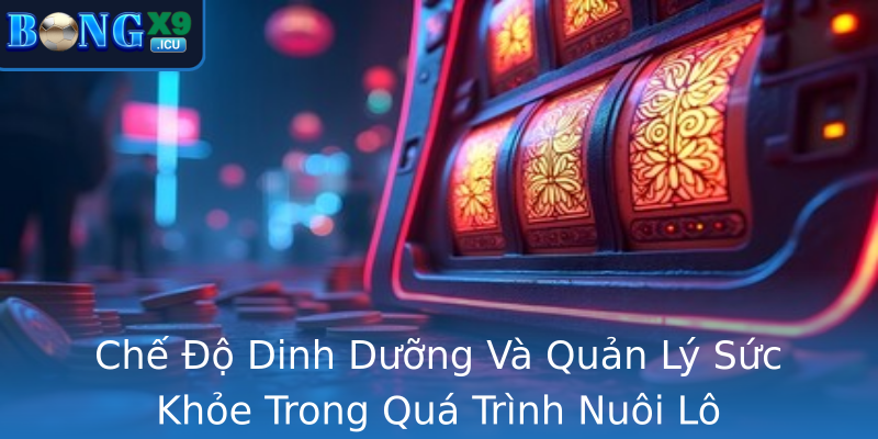 Chế Độ Dinh Dưỡng Và Quản Lý Sức Khỏe Trong Quá Trình Nuôi Lô