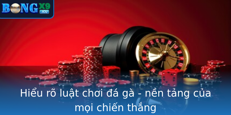 Hiểu rõ luật chơi đá gà - nền tảng của mọi chiến thắng
