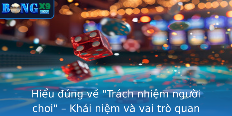 Trách nhiệm người chơi - Nhận thức đúng đắn khi tham gia Bongx9 1 hieu ung ve trach nhiem nguoi choi khai niem va vai tro quan trong trong cong ong game thu