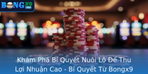 Kham Pha Bi Quyet Nuoi Lo E Thu Loi Nhuan Cao Bi Quyet Tu Bongx9