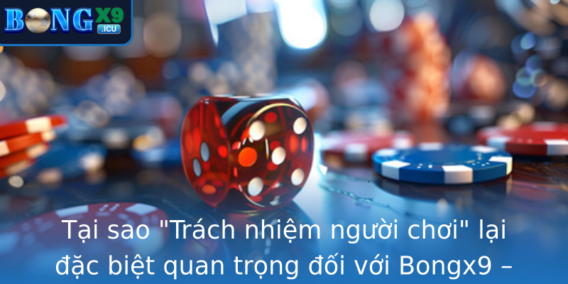 Trách nhiệm người chơi - Nhận thức đúng đắn khi tham gia Bongx9 2 tai sao trach nhiem nguoi choi lai ac biet quan trong oi voi bongx9 nen tang giai tri va canh tranh