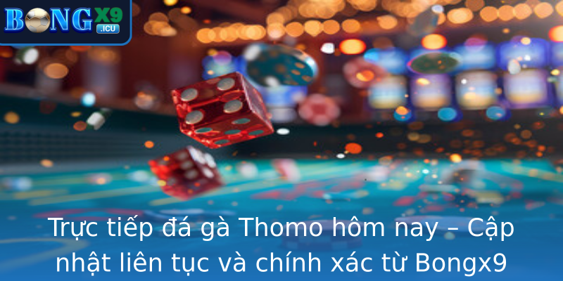 Trực tiếp đá gà Thomo hôm nay – Cập nhật liên tục và chính xác từ Bongx9